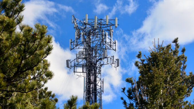 Crowded Full Cell Tower on a Sunny Day with Pine Trees
